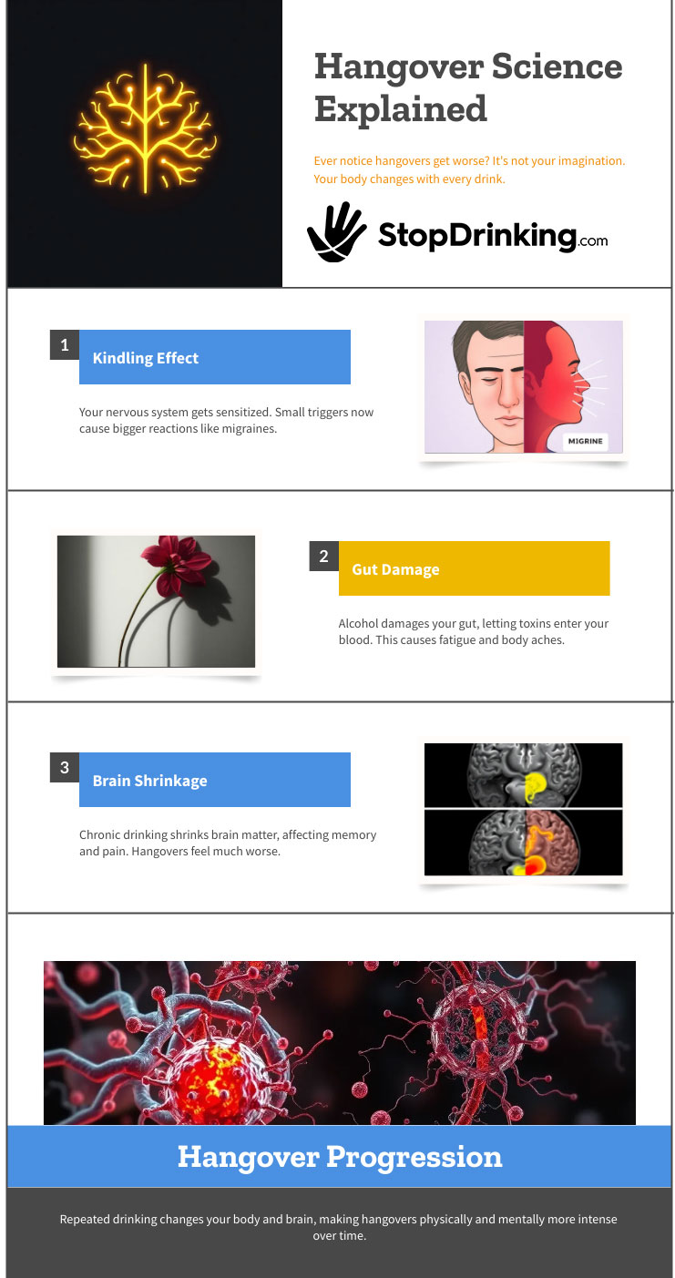 hangover-science-explained-infographic Hangover science explained infographic